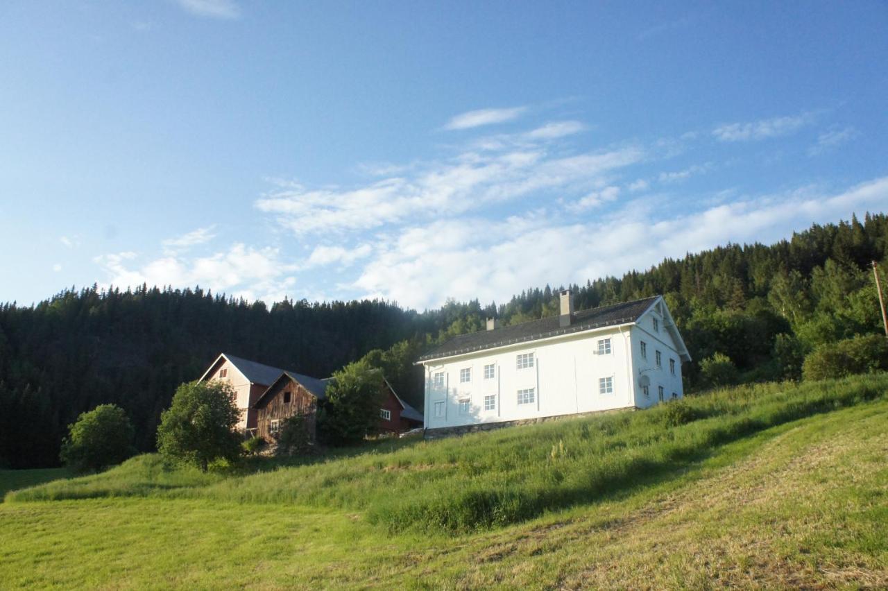 فيلا Hafjell Farmhouse Øyer المظهر الخارجي الصورة